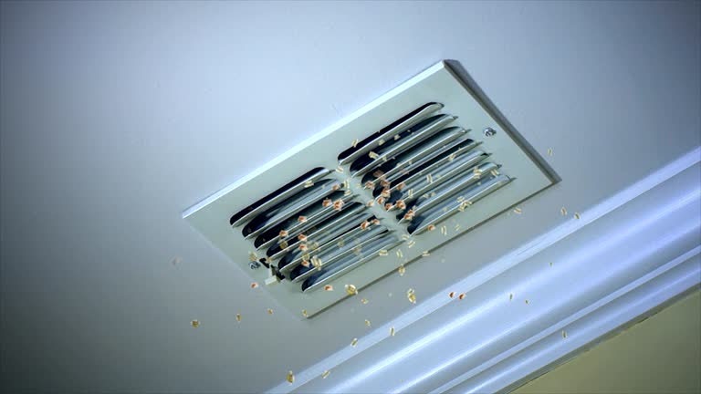 Best Air Duct Cleaning Near Me  in Whitefish Bay, WI